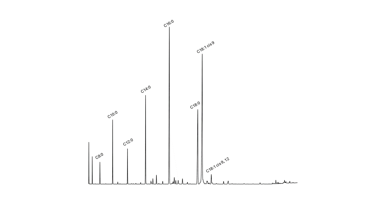 kromatogram png2.png